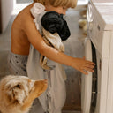 LAUNDRY DAY