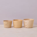 SHORT WOODEN GLASSES