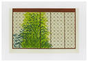 TROPICAL WINDOW