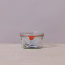 MOLD JAR